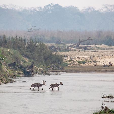Sanctuary Chitwan National Park Читван Екстериор снимка