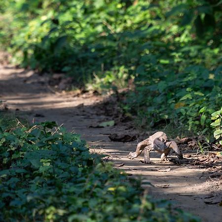 Sanctuary Chitwan National Park Читван Екстериор снимка