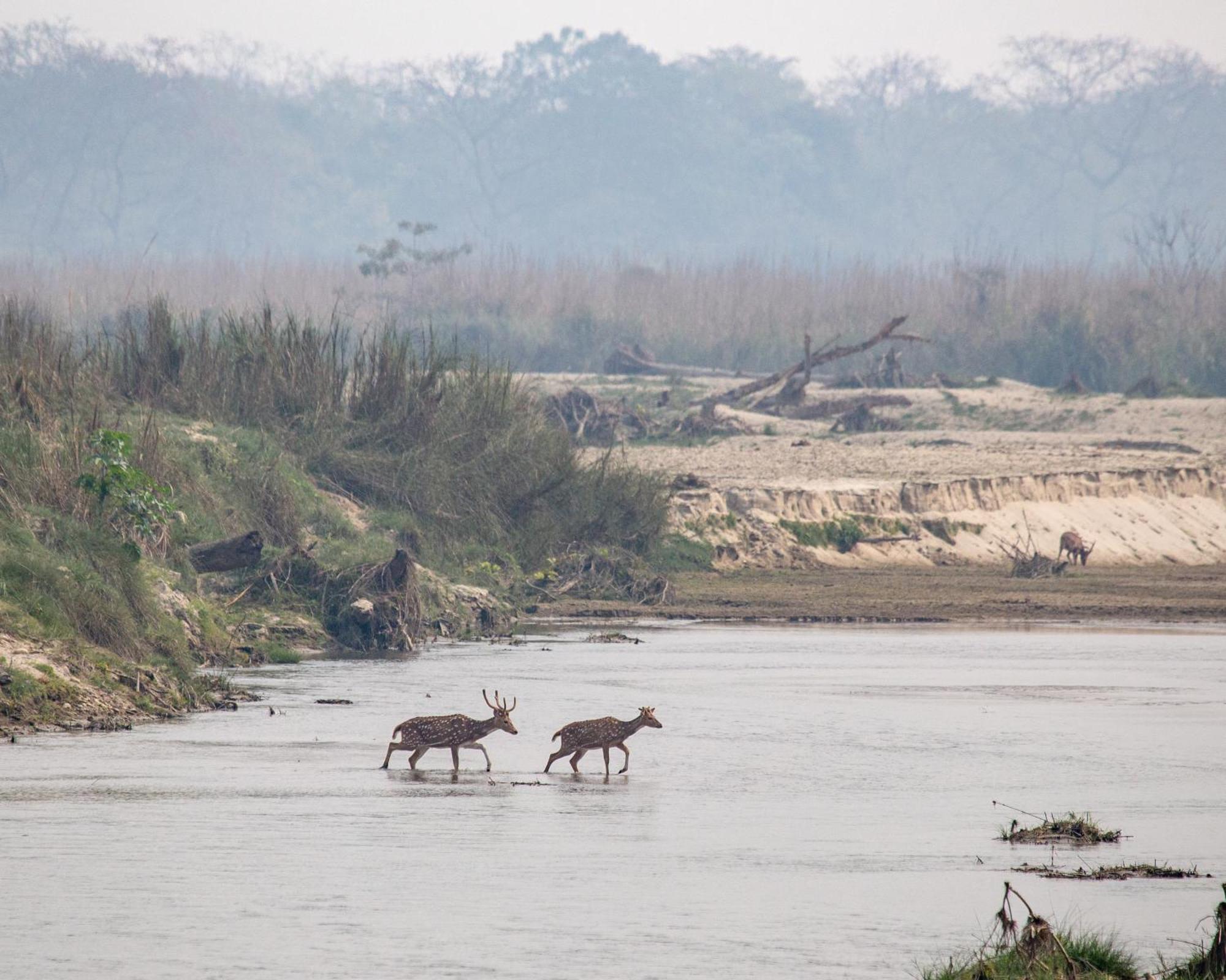 Sanctuary Chitwan National Park Читван Екстериор снимка