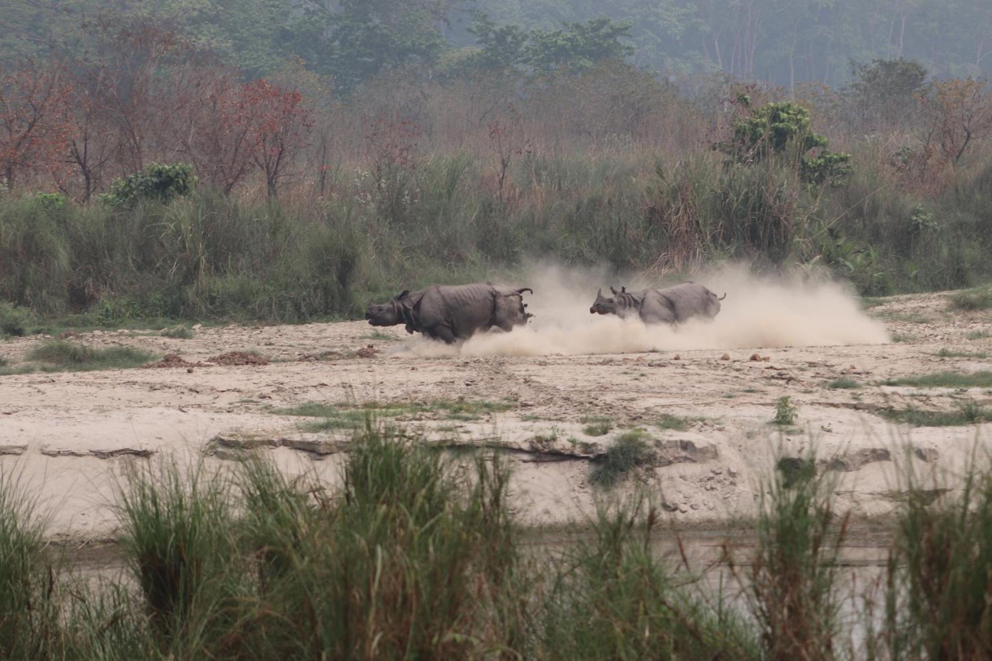 Sanctuary Chitwan National Park Читван Екстериор снимка