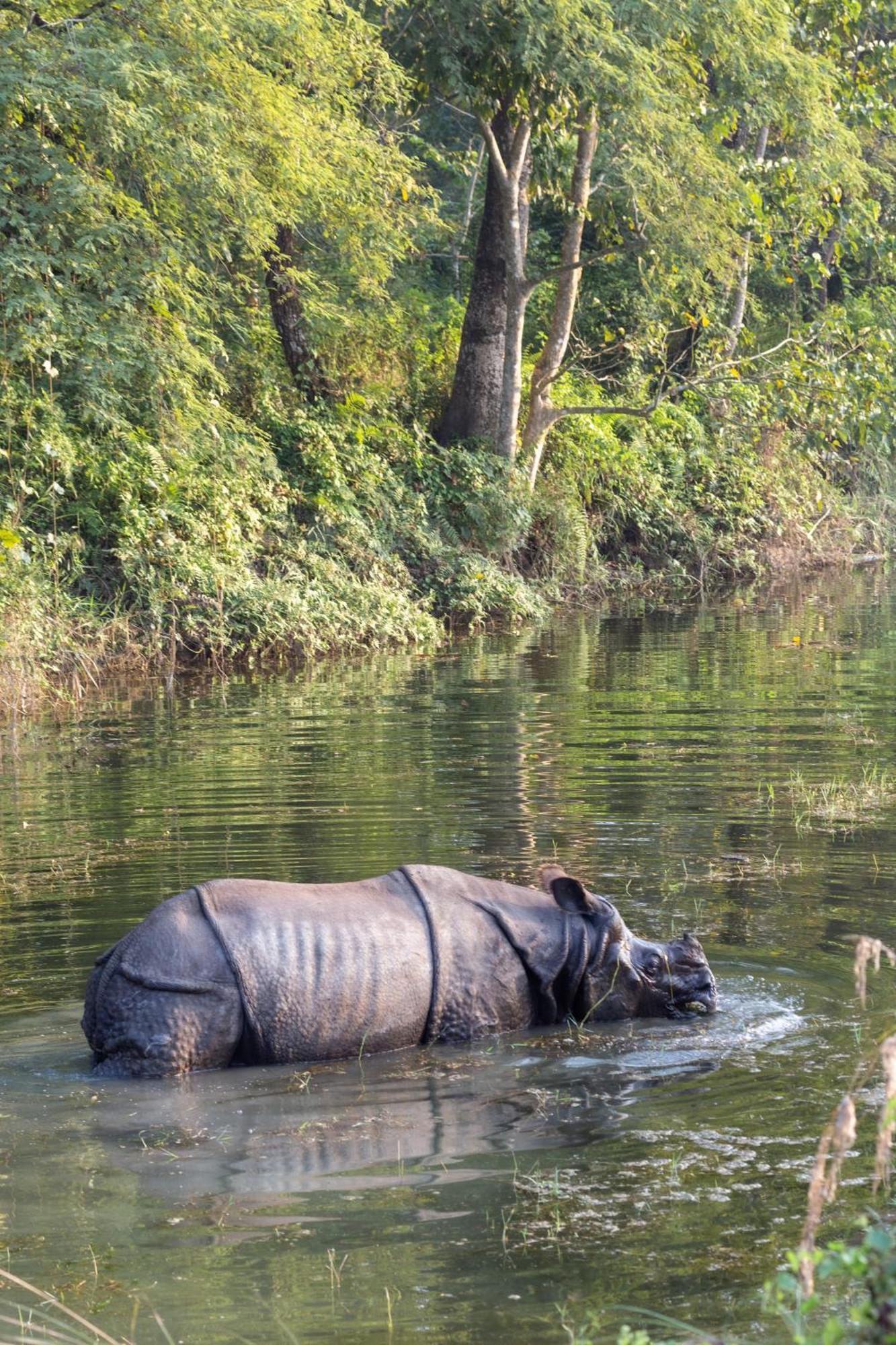 Sanctuary Chitwan National Park Читван Екстериор снимка