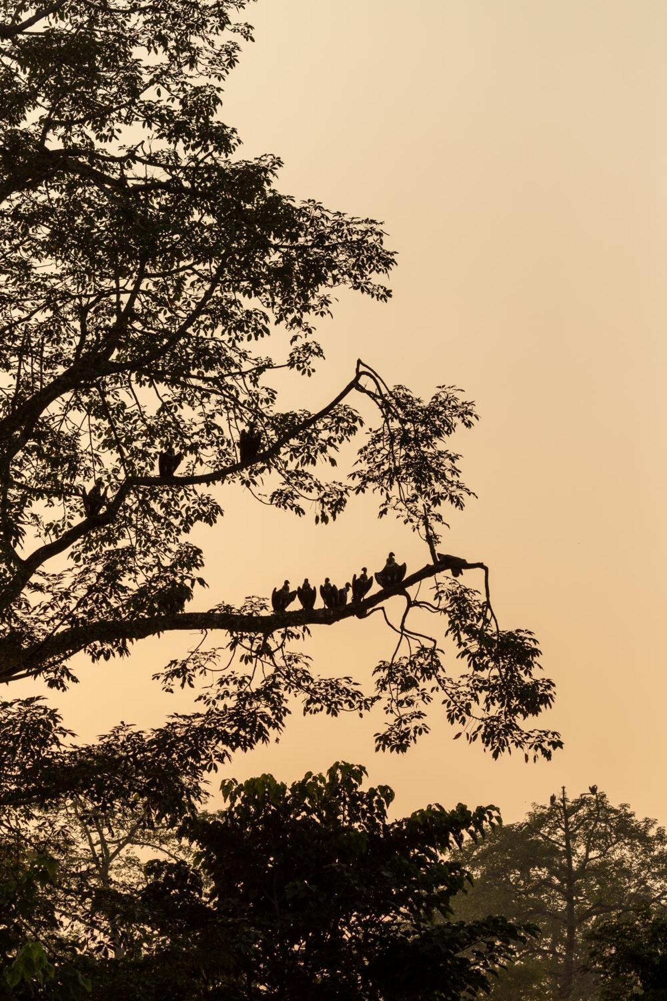 Sanctuary Chitwan National Park Читван Екстериор снимка